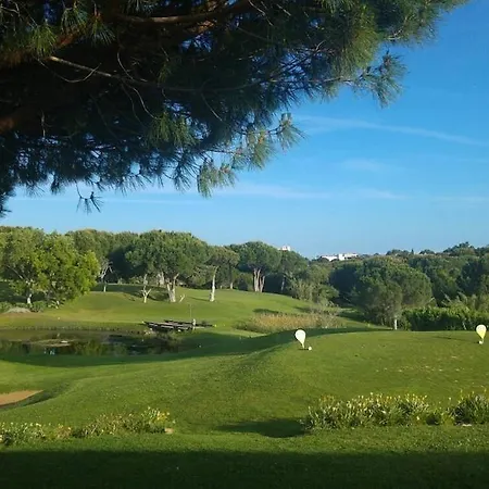 公寓 - Anna Town - New *